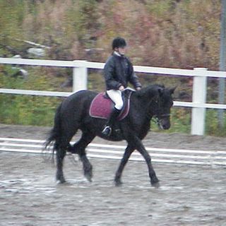 Skurken & Carro