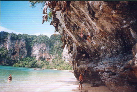 Tonsai