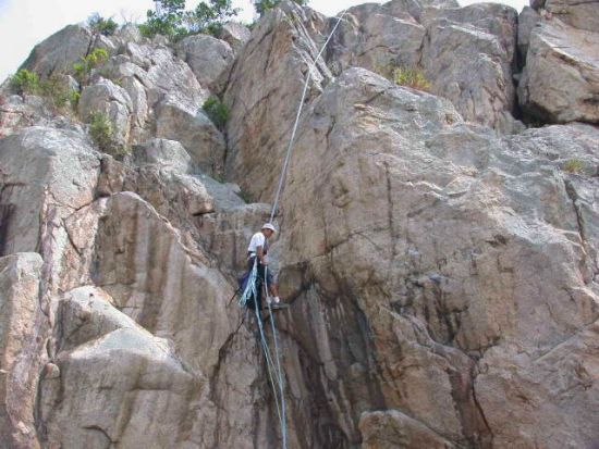 �d�J��÷abseil����