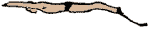 http://www.monopalme.com