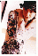 016b.GIF
 (29.0k)