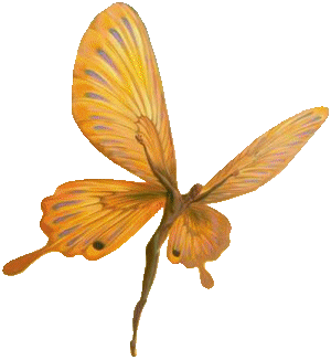 Mulher borboleta