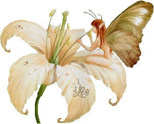 Fadinha beijando flor