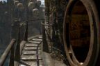 Prison gate open