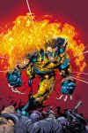 Wolfire!.jpg (42466 bytes)