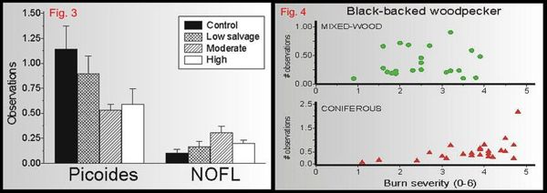 Woodpecker responses to salvage logging (Fig. 3) and burn severity (Fig. 4).