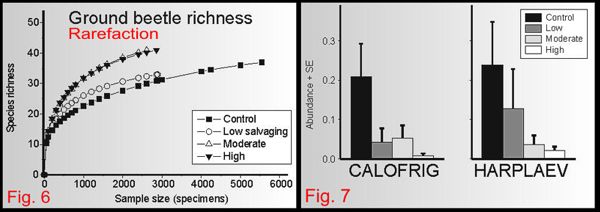 Ground beetle richness (rarefaction standardized; Fig. 6) and standardized abundances (+ SE) of two example forest-dwelling ground beetle species. Responses to salvage intensity (Fig. 7).