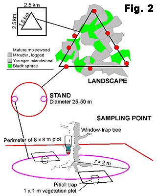 Example sampling point and trap/sample placing