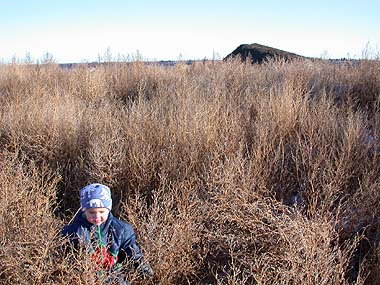 'Eih�n t��ll� ole yht��n tytt�j�!' Edmonton, city dump 21.12.-03