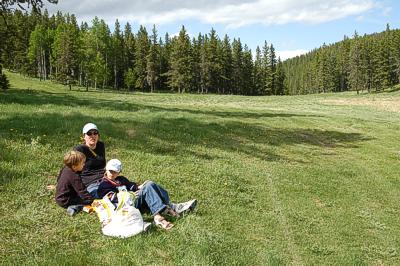 Evastauko matkalla vuoristoon, ananaskis Country, AB 7.6.-06