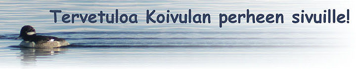 pikkutelkk�a