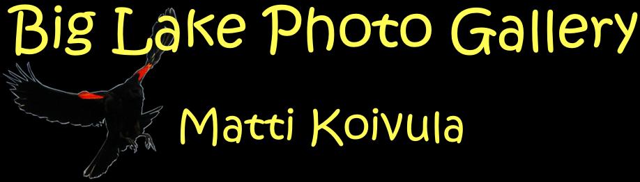 Big Lake Photo Gallery