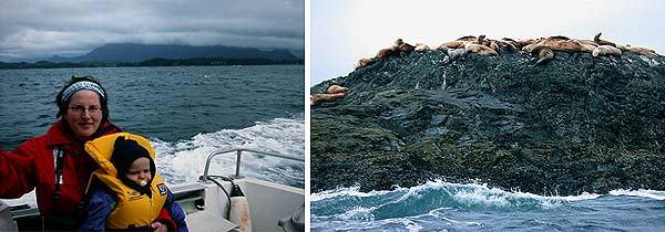 Valasretkell�, oik. p�tk�tt�vi� merileijonia (Tofino 13.4.03)
