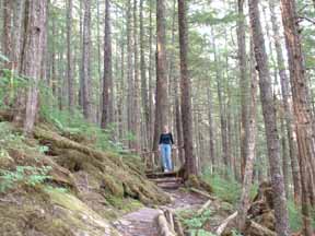 Hiking in Wrangell
