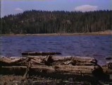 Lake Jennifer