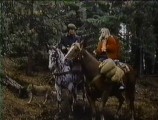 Cody's horse is the brown with the stripe down the face.