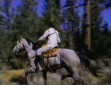 Cutler's horse is a dappled gray.