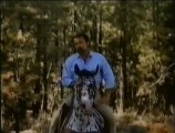 Jesse's horse is a spotted male.