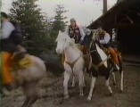 Matt's horse is white.  Tim's horse is brown with large patches of white.