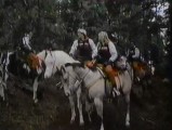 Robin's horse is a pale gray.