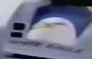 White Eagle