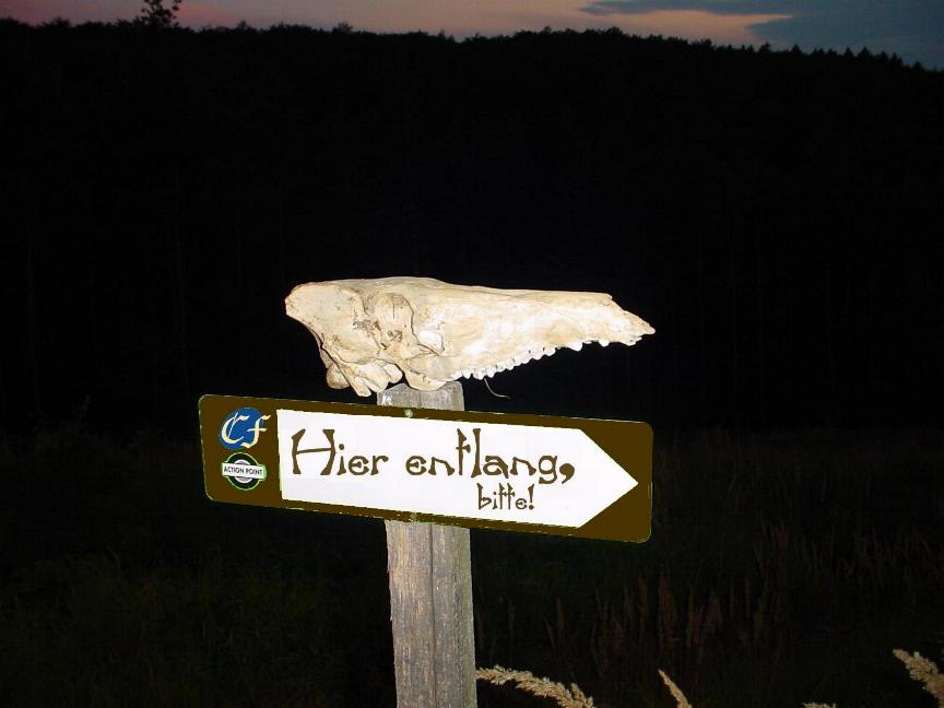Hier entlang, mein Freund...