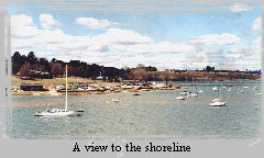 shoreline.jpg