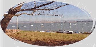view.jpg