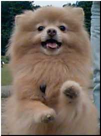 Photo of TARO