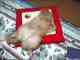 TARO is sleeping