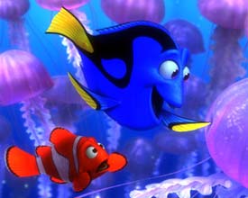Finding Nemo!