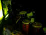 241101_0024_WEB.jpg (25478 bytes)