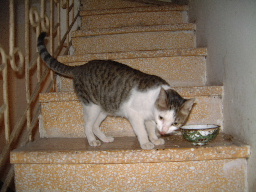 Yummy... I'm so hungry !