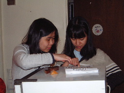 Playing puzzle game - Brunswick 8/2002