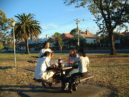 Barbercue in Batman park- Northcote 12/2002