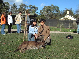 Healsville Sanctuary - 7/2002