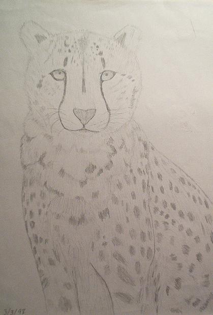 My favorite animal?