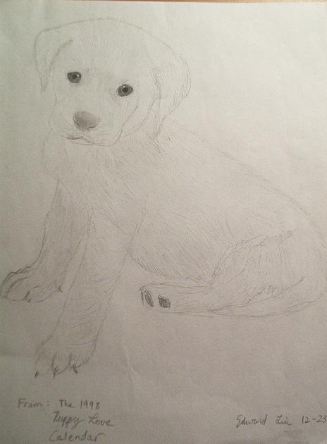 Another good animal