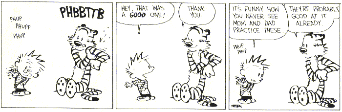 Calvin and Hobbes