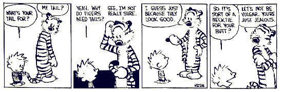 Calvin and Hobbes