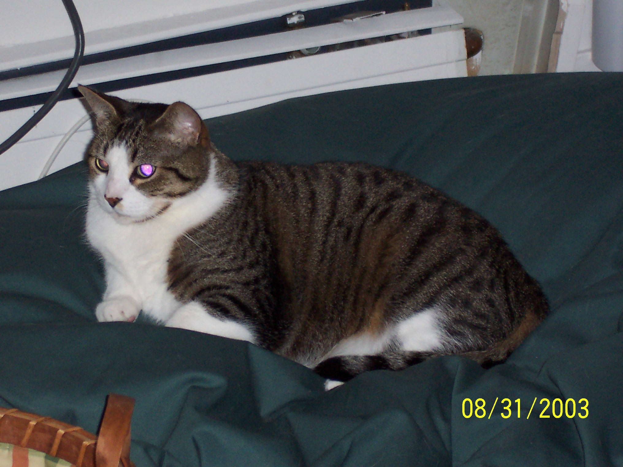Stripe