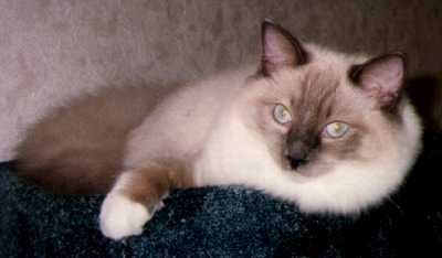 Jenny