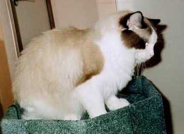 Migi three years old