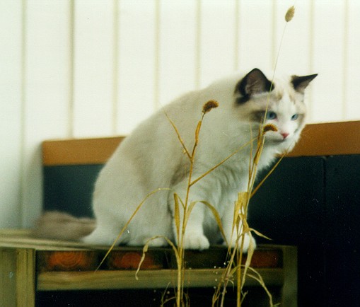Migi half year old