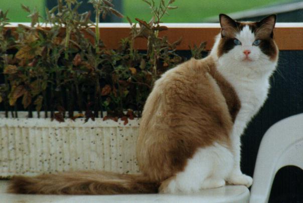 Migi two years old