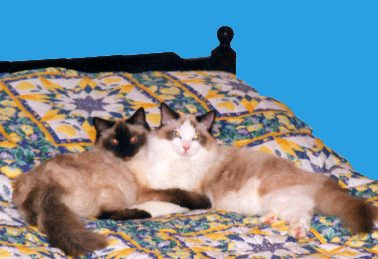 Ulrika & Migi