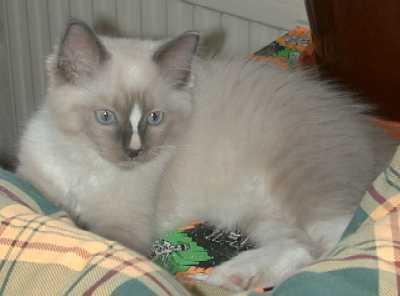 Raymond