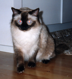 Ulrika