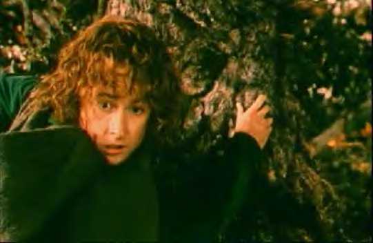 Revenge of the Hobbits