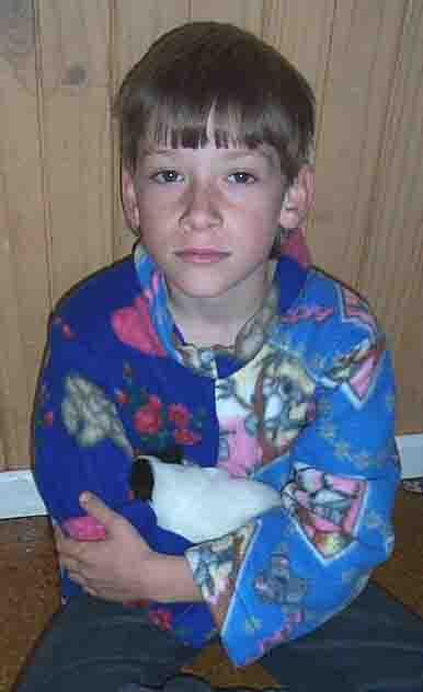 Michael & baby Papillon